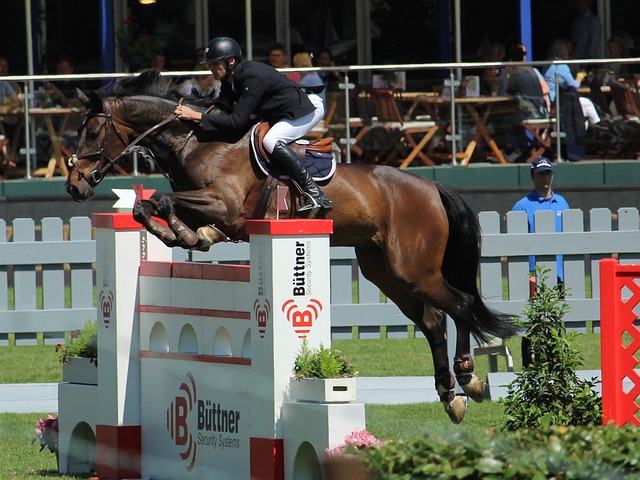 情绪管理与 情绪管理与