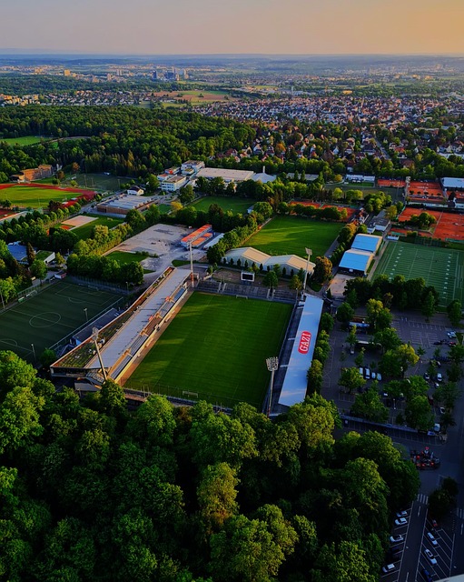 竞技利益的 竞技利益的