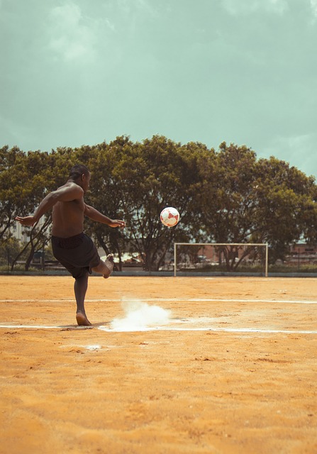 也未能洞察 也未能洞察