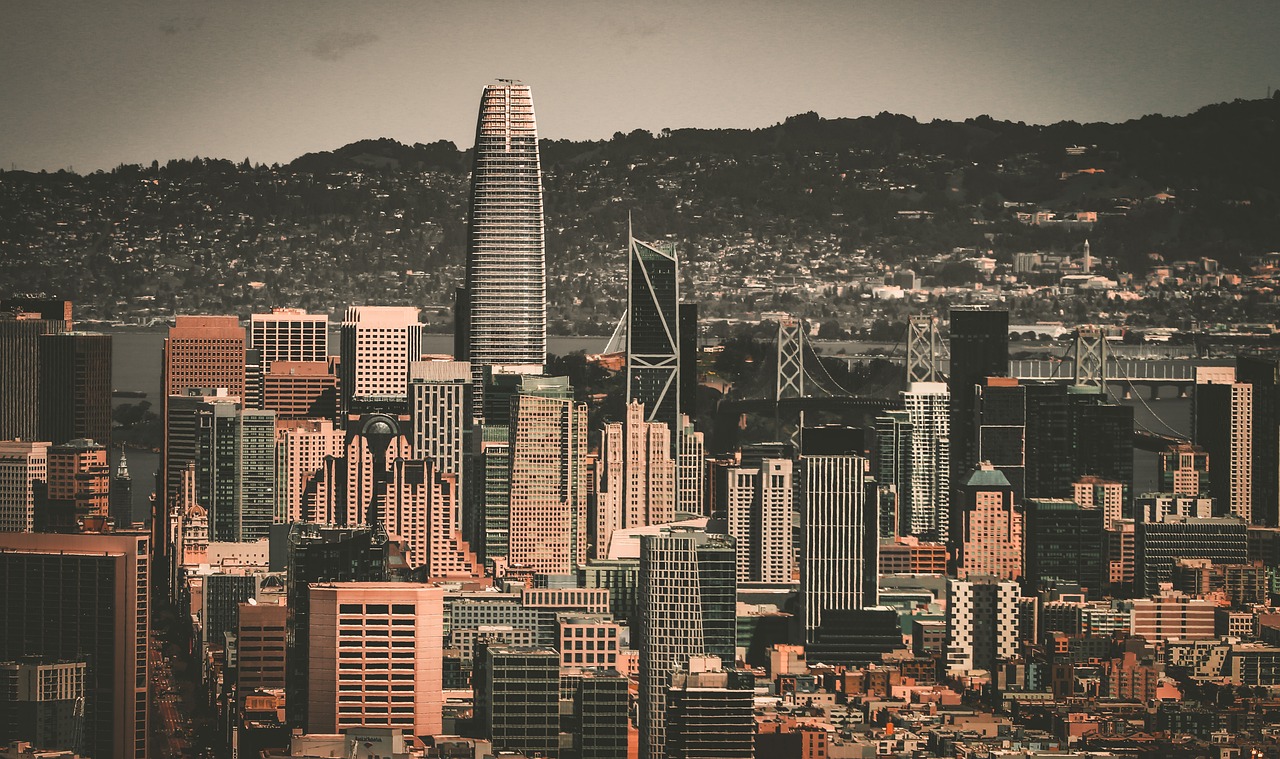 的赛场上保 的赛场上保