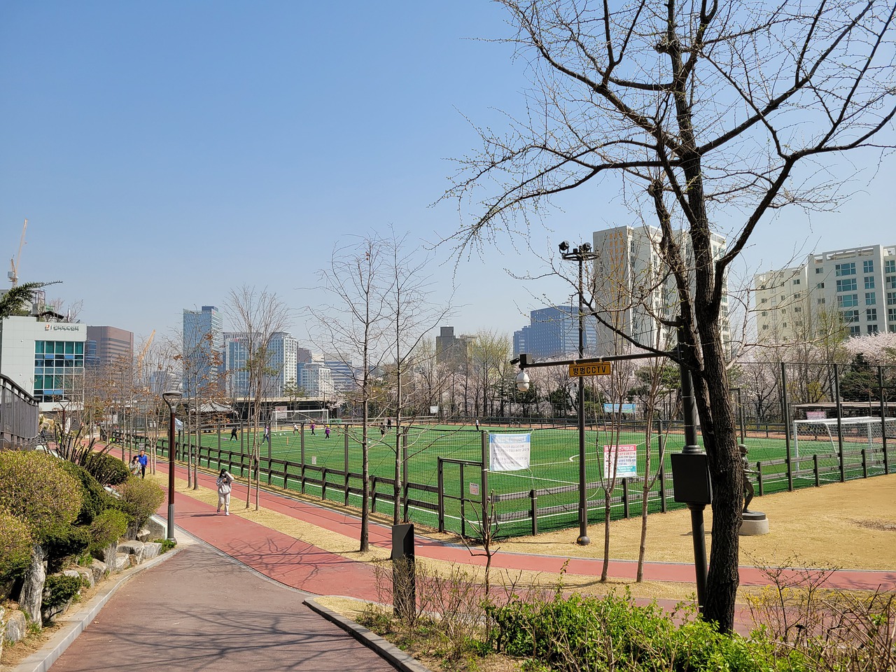 续加大在青 续加大在青