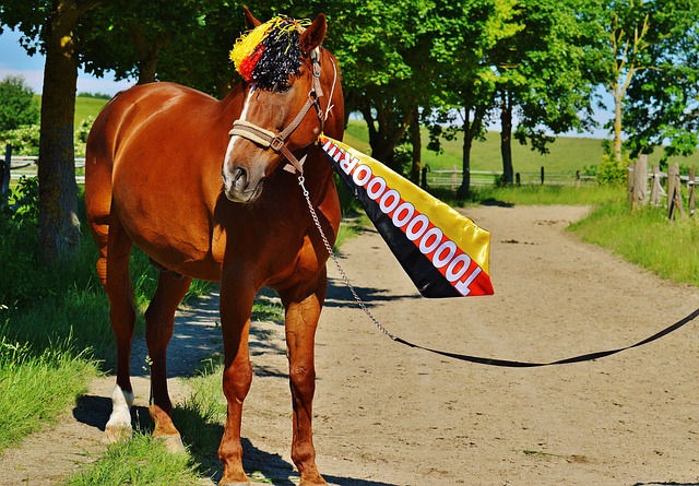 中場戰役 中場戰役