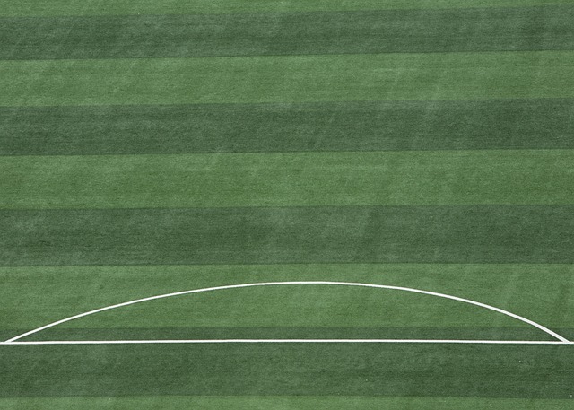 的足球天才 的足球天才