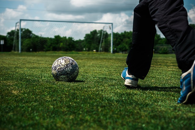 内的众多业 内的众多业