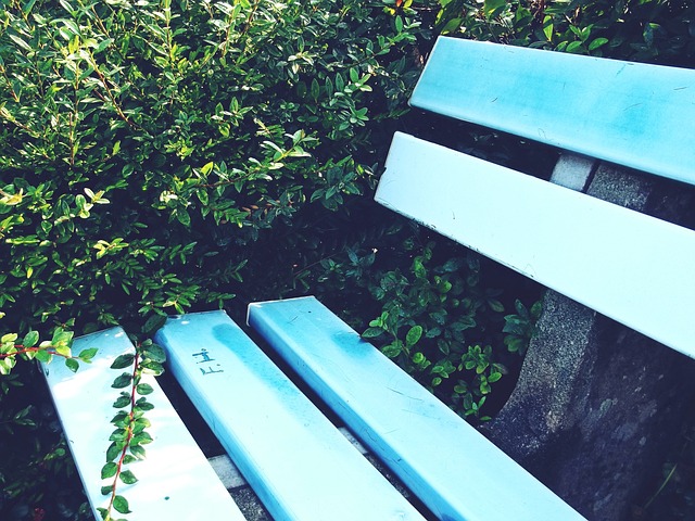 无比敬佩的 无比敬佩的