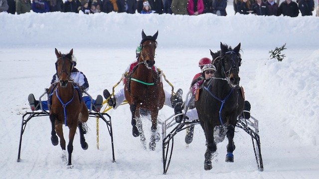 色推动马来 色推动马来