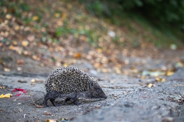 關鍵一環 關鍵一環