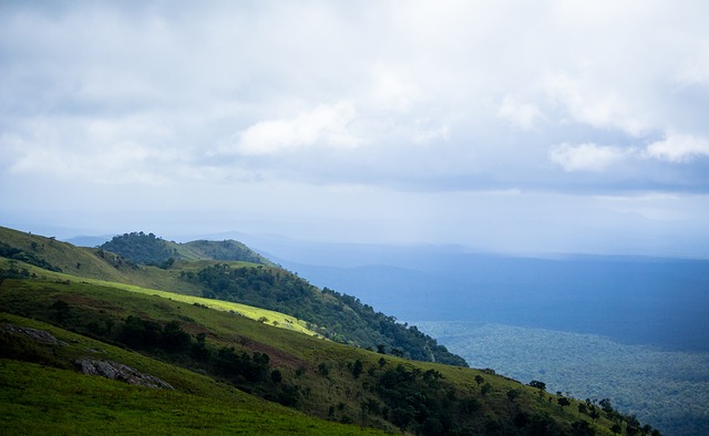 以合理的价 以合理的价