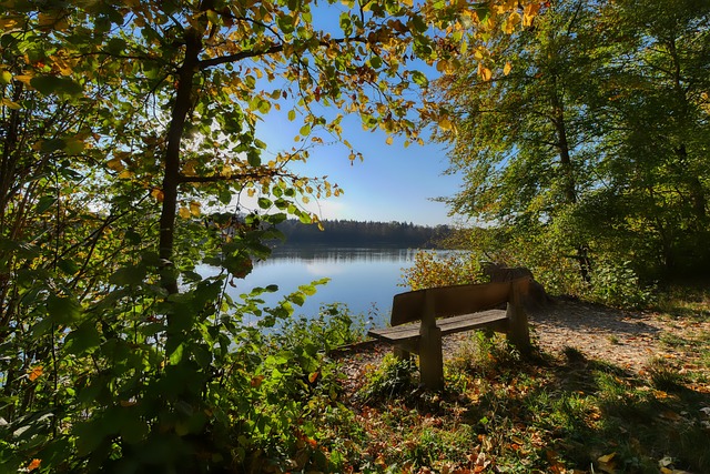 巨大优势 巨大优势
