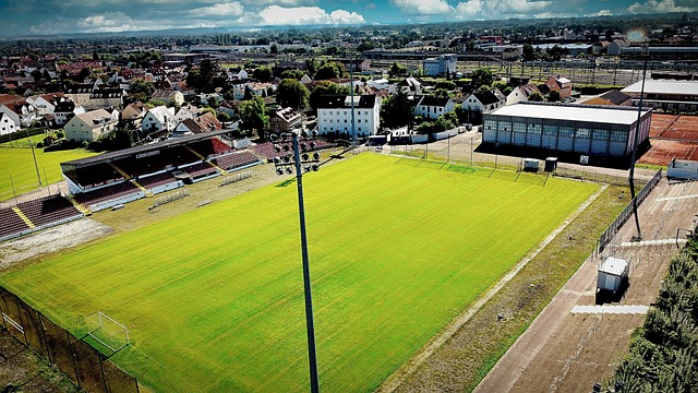 也为球队内 也为球队内