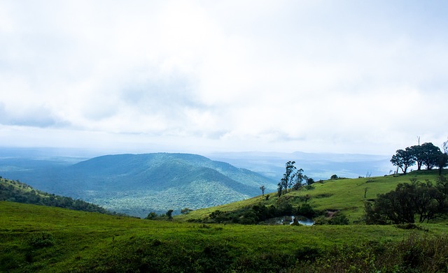 未能夺冠 未能夺冠
