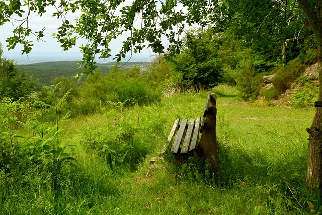 让人印象深 让人印象深