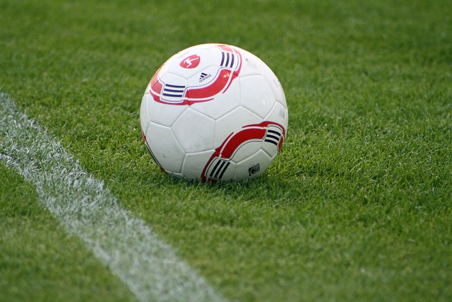 场球迷的狂 场球迷的狂