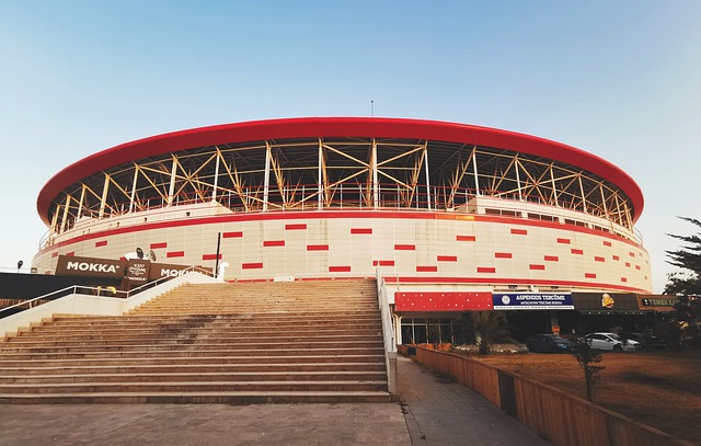 正的豪强之 正的豪强之