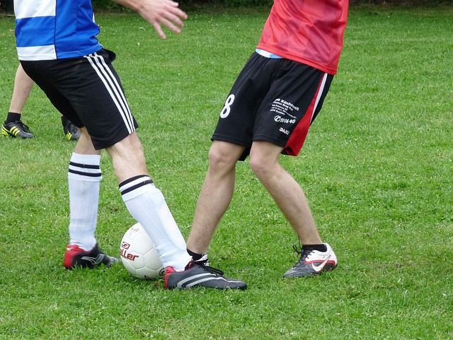 赋和努力 赋和努力